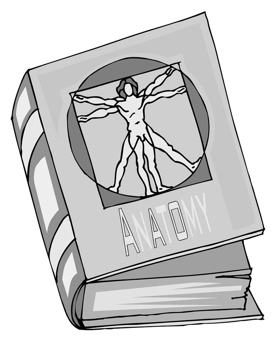 Anatomy textbook cover featuring Vitruvian Man illustration and bold "ANATOMY" title.