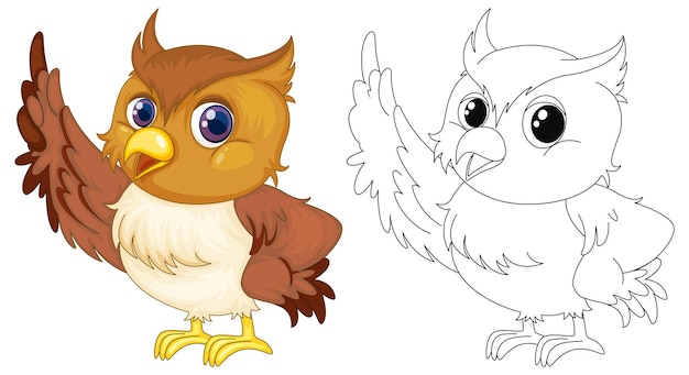 A cute cartoon owl in full color pointing upward beside its black-and-white line art version for coloring.