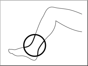 Line drawing of a person using a tennis ball for foot massage or myofascial release under the arch.