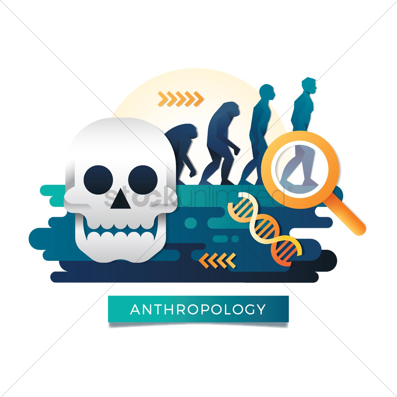 Anthropology Cliparts Science Free Transparent Png Clipart Clip