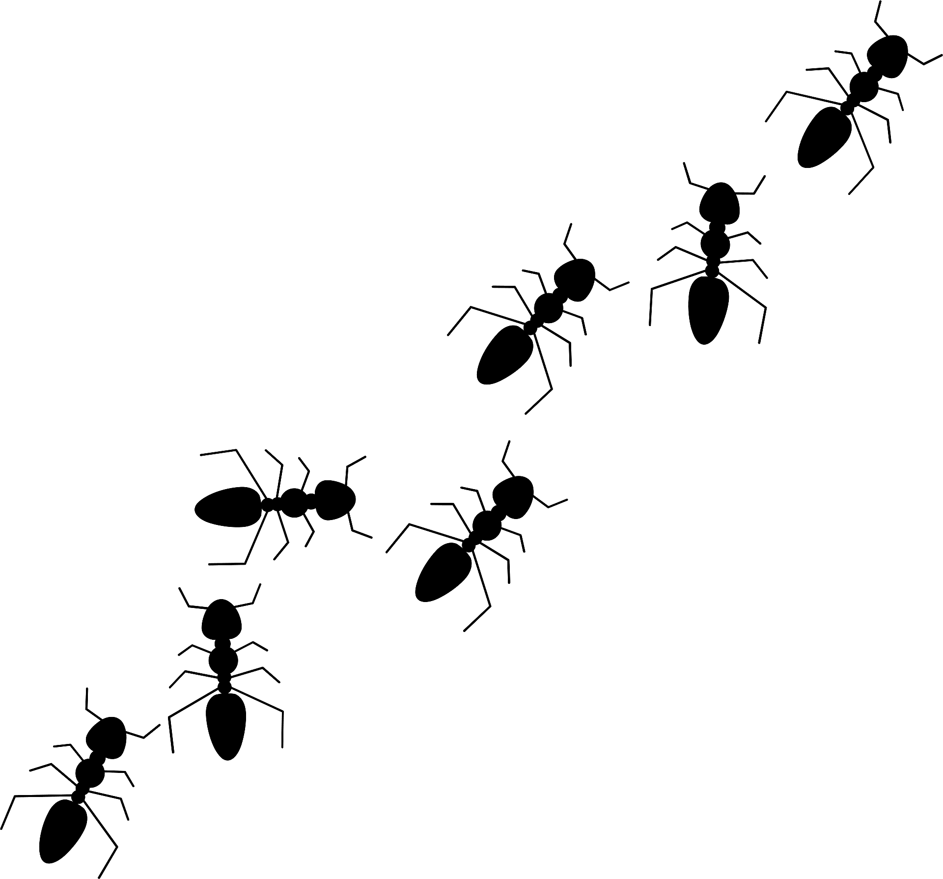Ant cliparts - Clipart Library - Clip Art Library