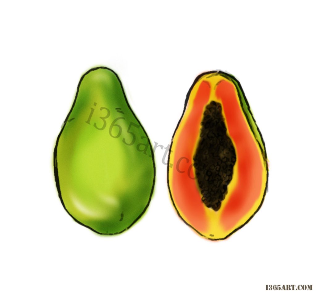 Illustration of a whole green avocado next to a halved papaya showing orange flesh and black seeds.