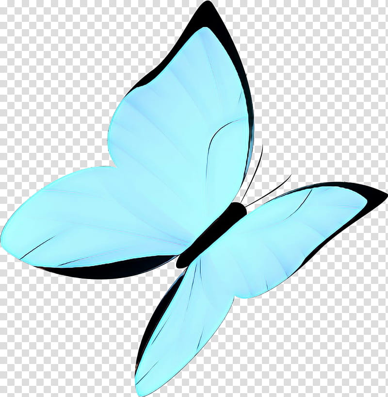 Butterfly Clip Art, PNG, 2362x2362px, Butterfly, Aqua, Butterflies ...