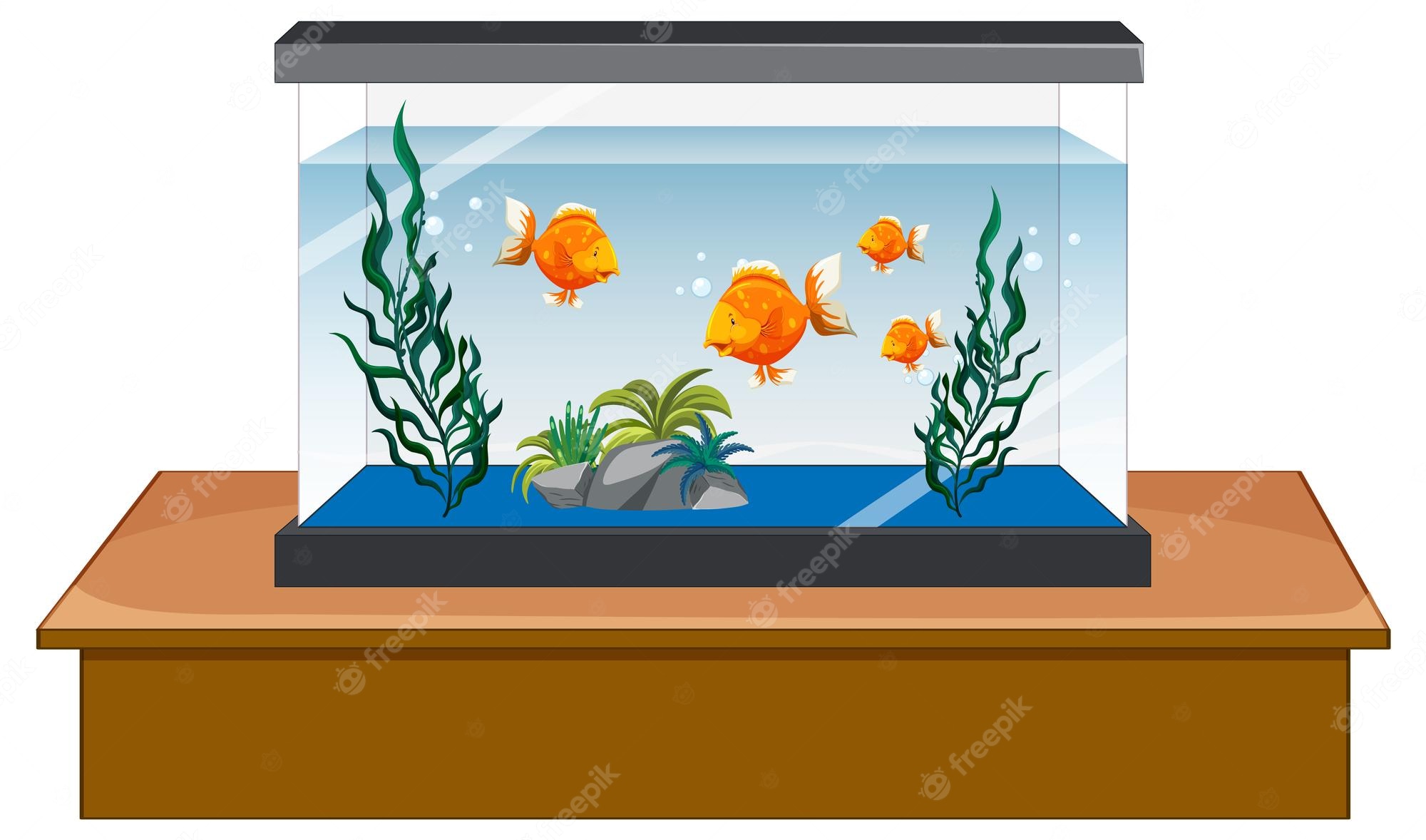 Fish Aquarium Clip Art