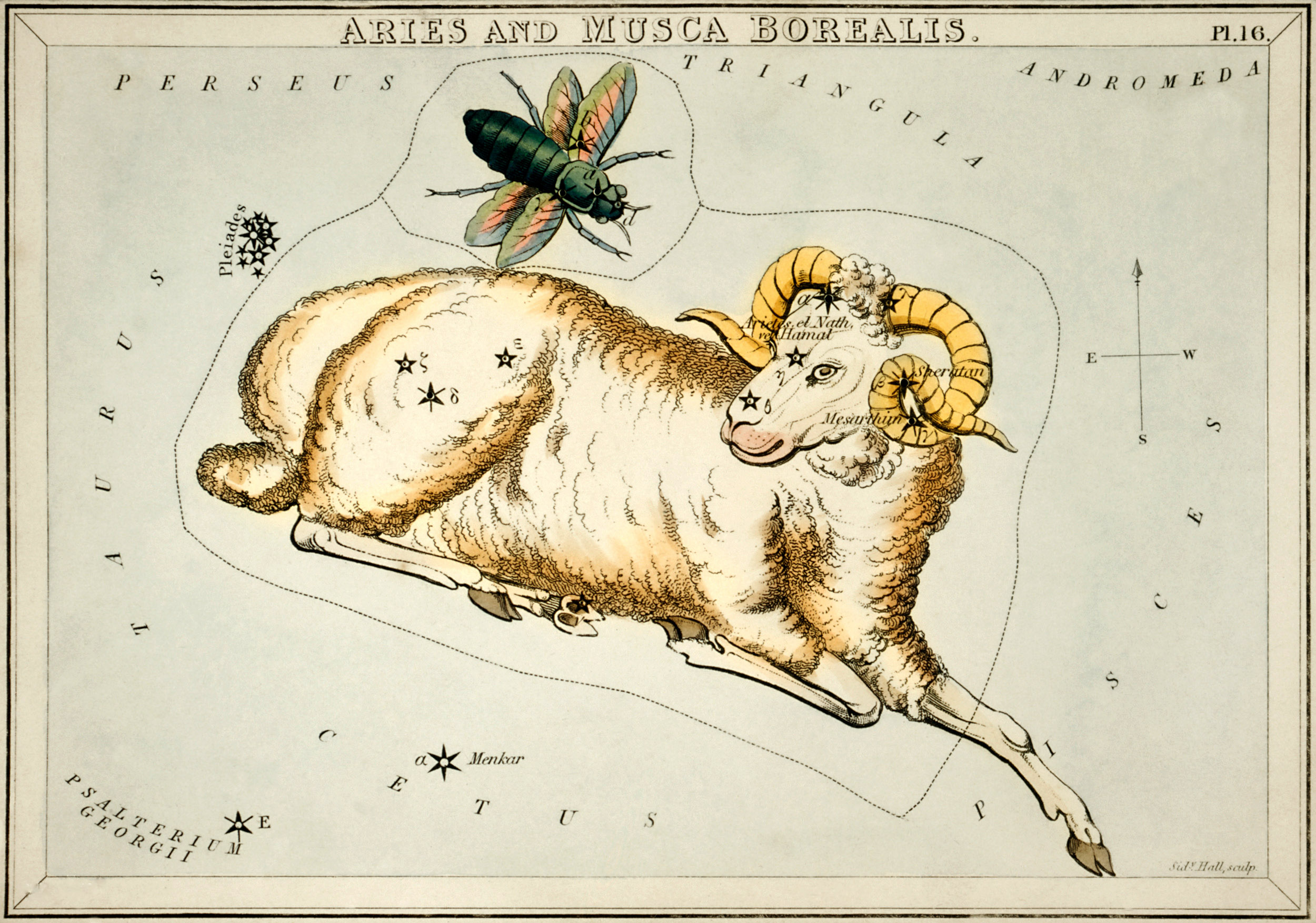 Aries and Musca Borealis - Historic Celestial Map by Sidney Hall