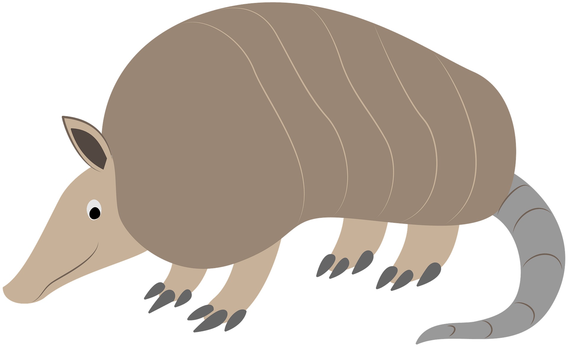 Black and White Clipart Illustration of an Armadillo - Clip Art Library