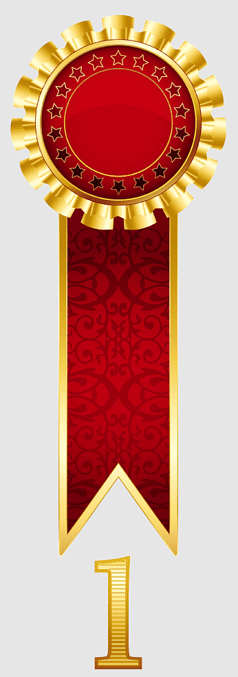 First Place Award Ribbon - Premium Red & Gold Victory Badge for Winners