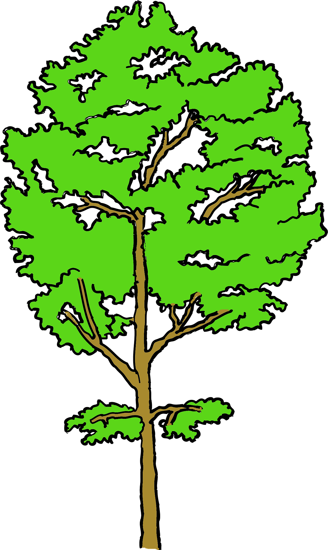 aspen grove | Vector clipart, Painting projects, Illustrators - Clip ...