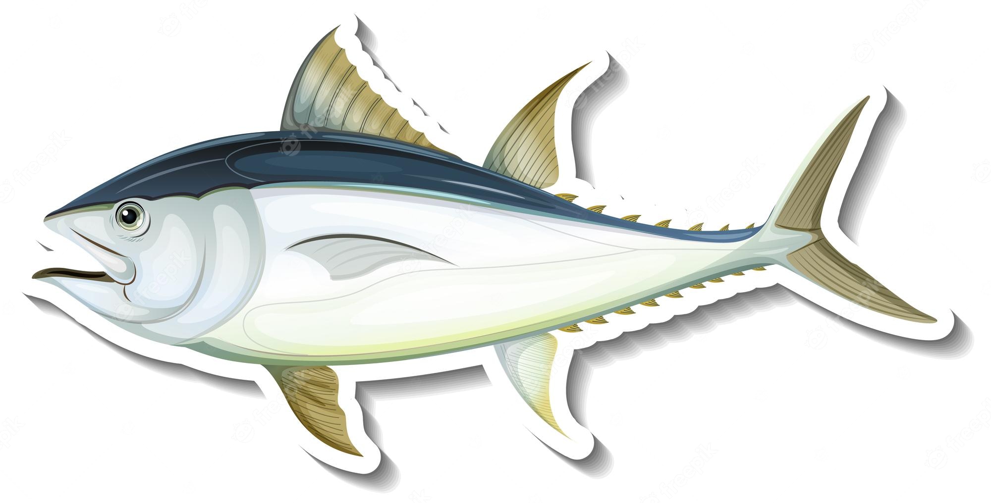 Cute Tuna Fish Cartoon For You Design Royalty Free SVG, Cliparts - Clip Art  Library