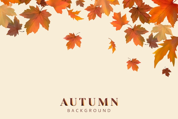 Autumn Background Image - Free Download for Seasonal Designs