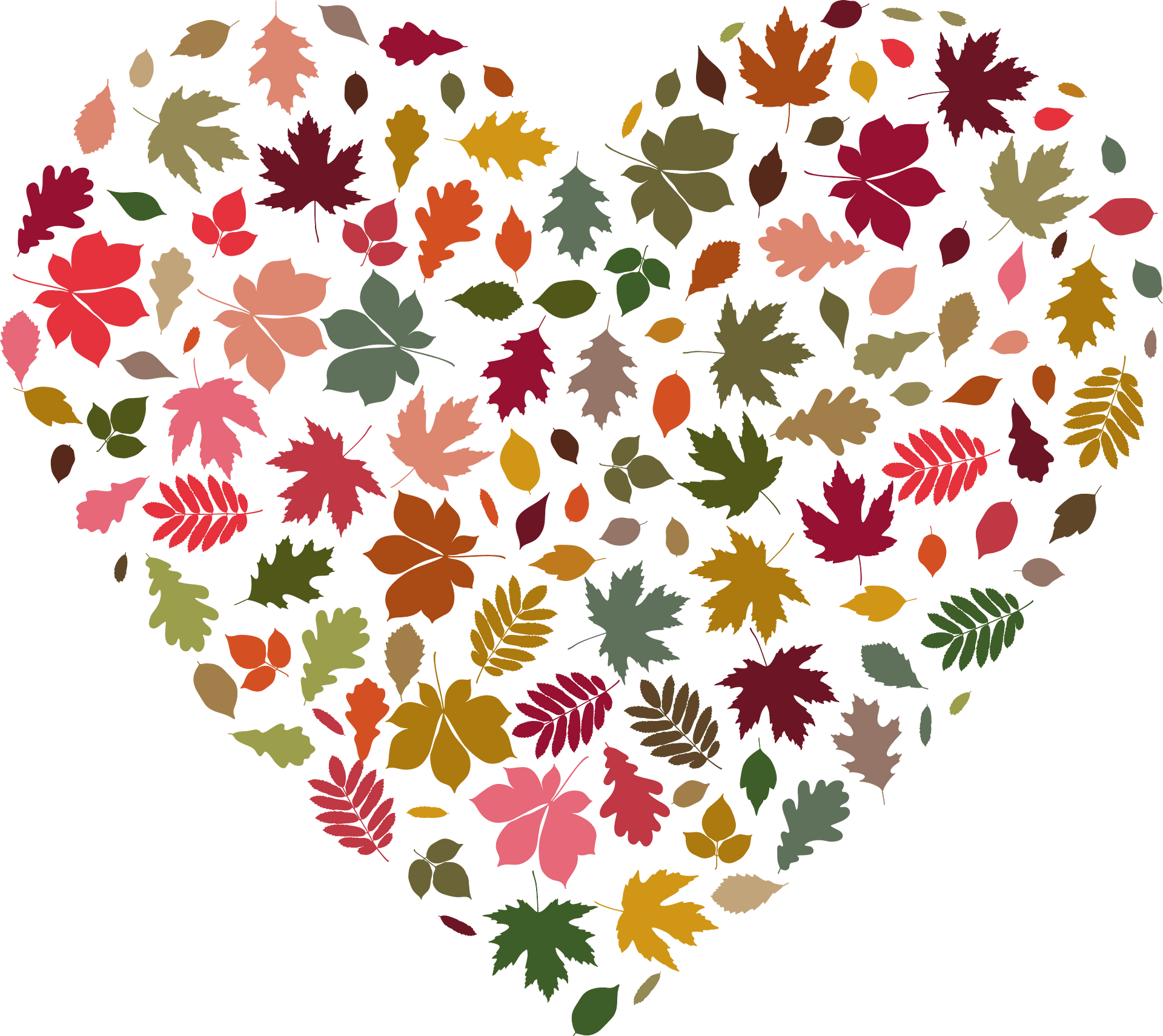 Leaf Heart png download - 1000*1000 - Free Transparent Autumn Leaf ...