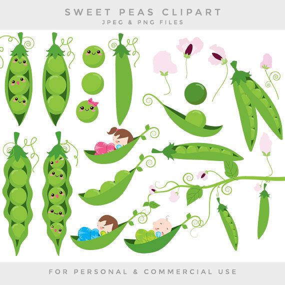 Cute cartoon pea pods with smiling peas, babies in pods, and pink flowers-sweet peas clipart for personal and commercial use.