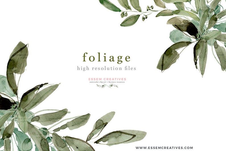 Watercolor botanical foliage illustration with green leaves and berries, styled for creative design use.