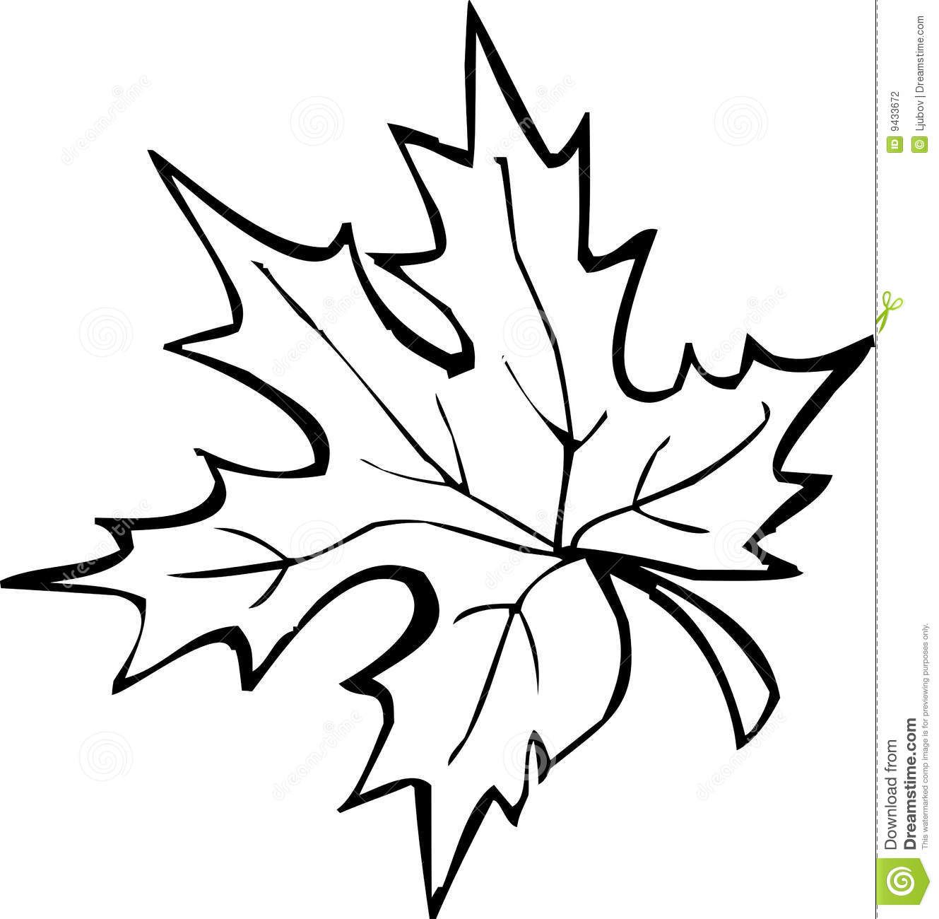 Stylized Maple Leaf Line Art - Free Vector Illustration