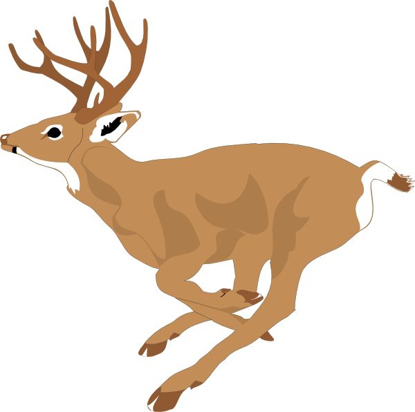 Three Deer Bucks Clipart | Download Free Buck Images - Clip Art Library