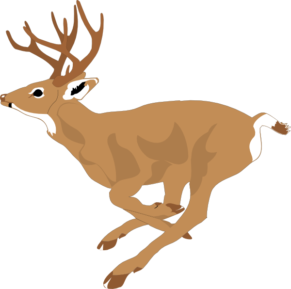 Running Buck Deer Illustration - Wildlife Clip Art for Nature Content