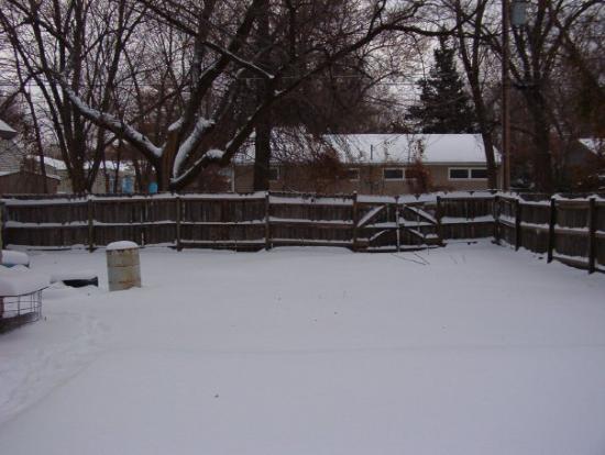Snow-covered backyard with wooden fence, bare trees, and distant house in winter.