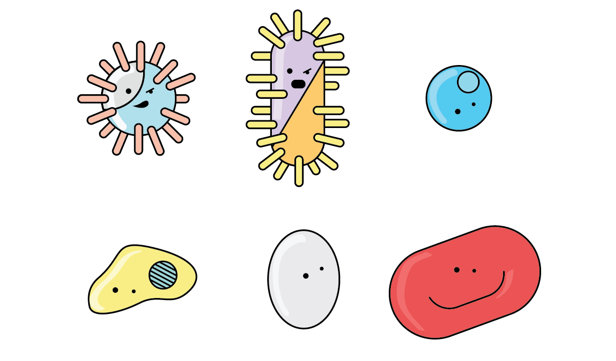 Бактерия рисунок. Бактерии рисунок. Нарисовать бактерии. Микроорганизмы рисунок. Микроорганизмы миленькие.