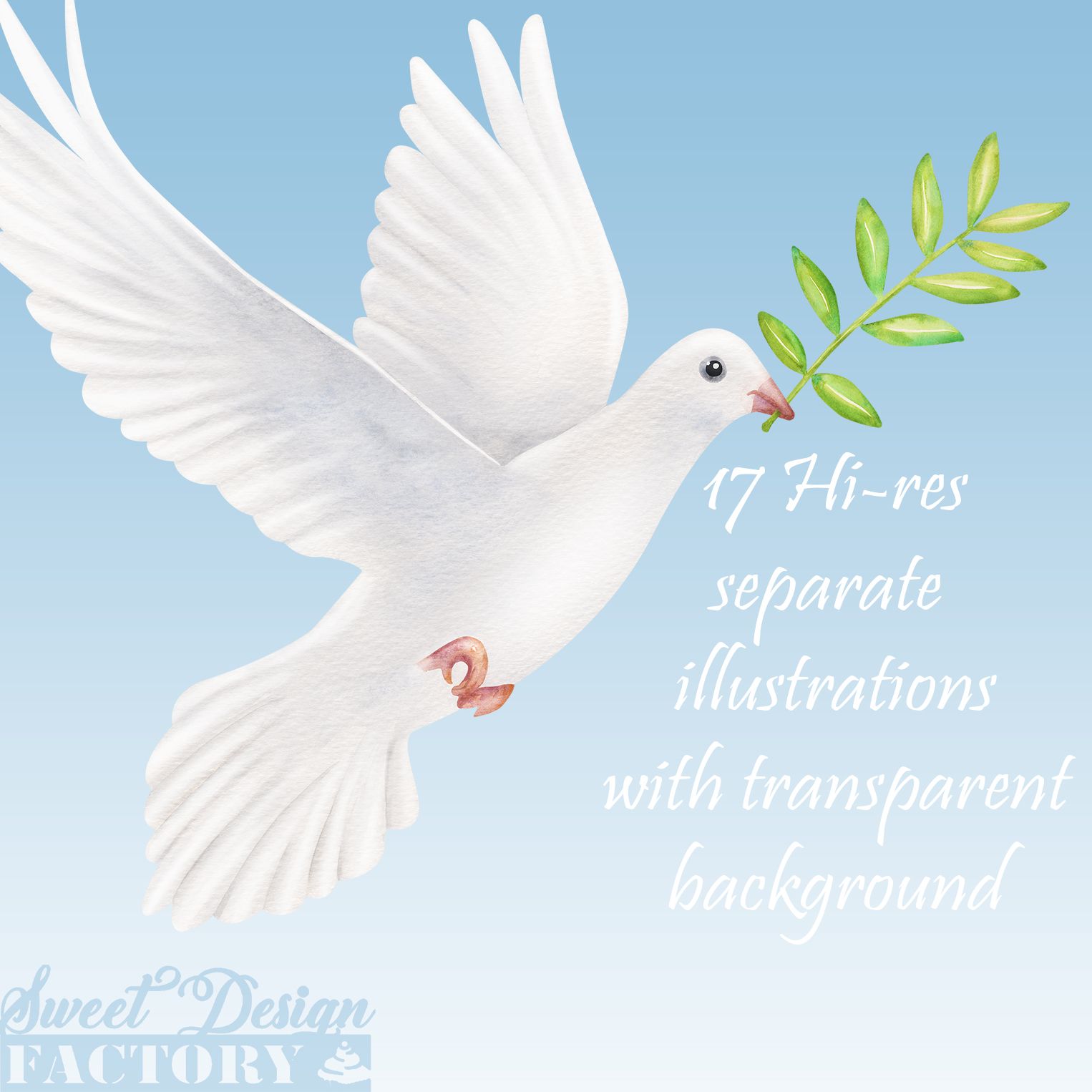 Funeral Dove drawing free image download - Clip Art Library