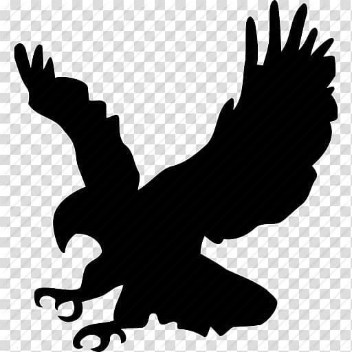 eagles - Clip Art Library