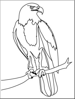 Bald Eagle Coloring Page - Free Printable Wildlife Illustration