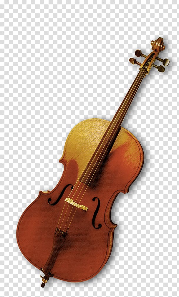 A classic wooden cello with golden-brown varnish, four strings, and ornate f-holes on a transparent background.