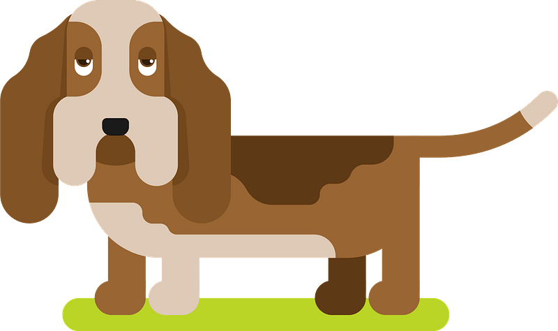 Cartoon illustration of a brown and tan Basset Hound standing on green grass against a teal background.