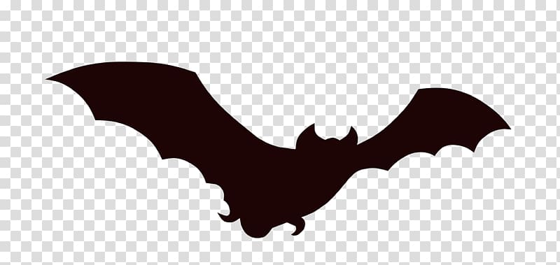 Silhouette of a flying bat with outstretched wings on transparent background.