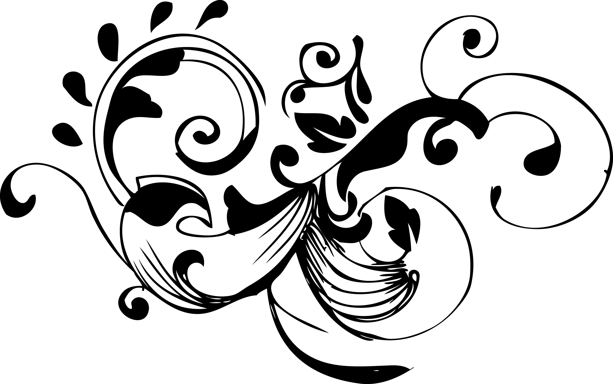 Blank black image placeholder with no visible content.