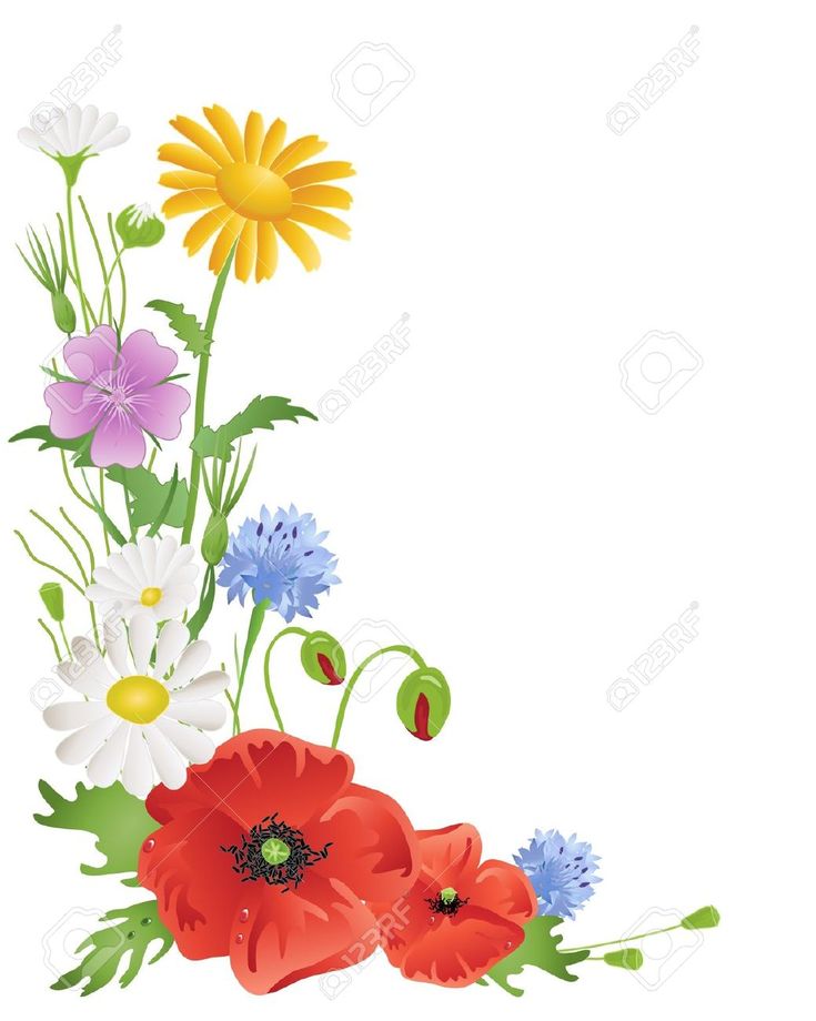 Colorful wildflower bouquet with red poppies, daisies, cornflowers, and yellow daisy on white background.
