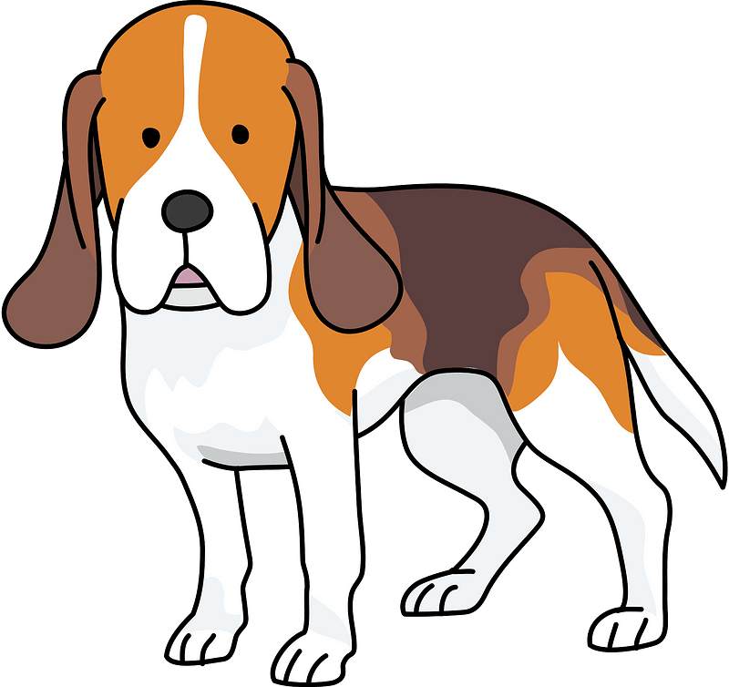 Cute Cartoon Foxhound Puppy Hunting Dog Vector Clipart. Pedigree 