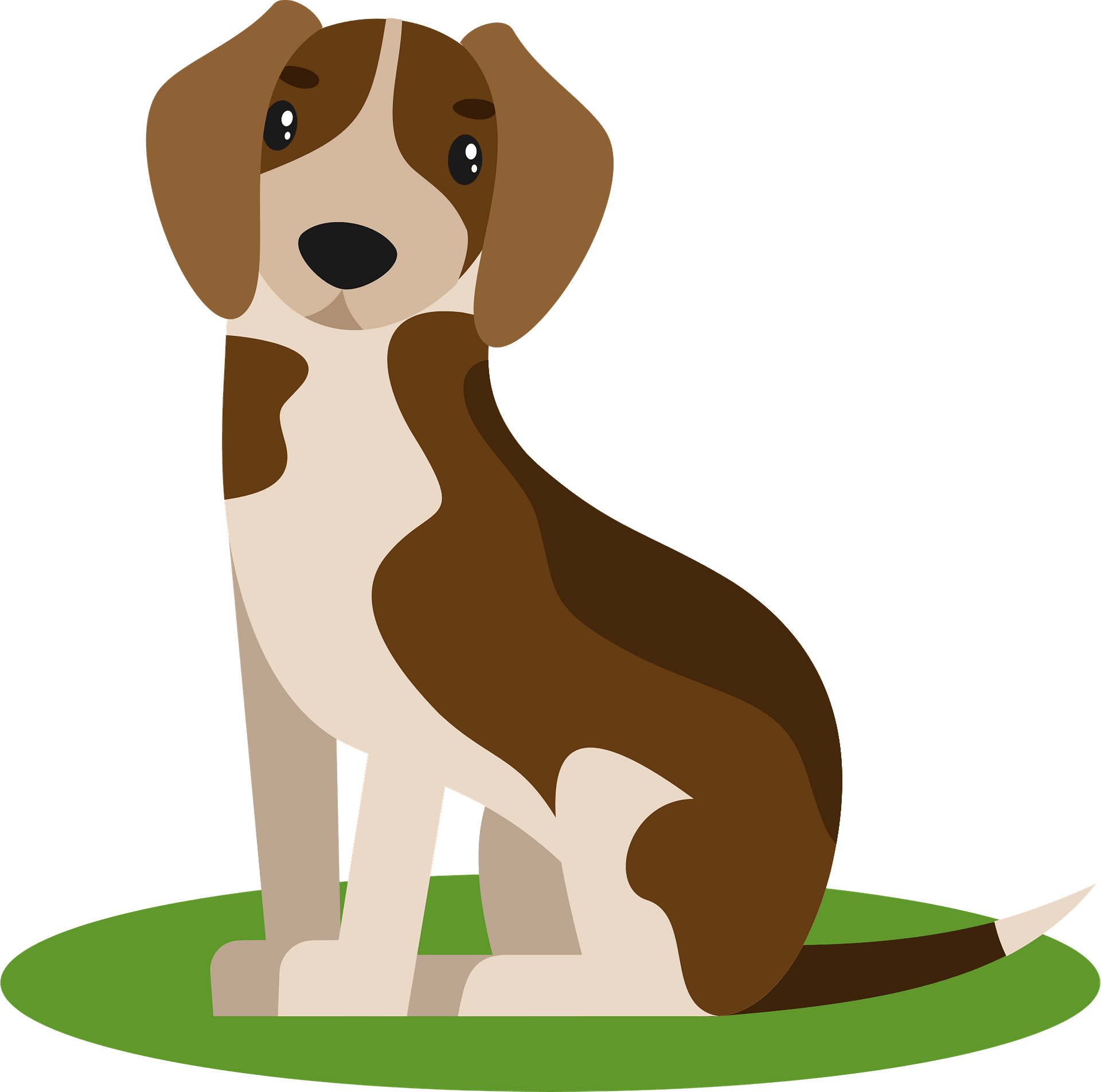 A cartoon-style brown and white beagle sitting on green grass against a teal background.