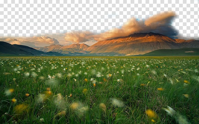 Golden-hour mountain landscape with wildflower meadow in foreground and dramatic clouds above peaks.
