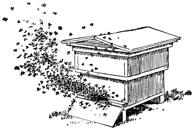Bees swarming around a traditional wooden beehive with a slanted roof and entrance ramp.