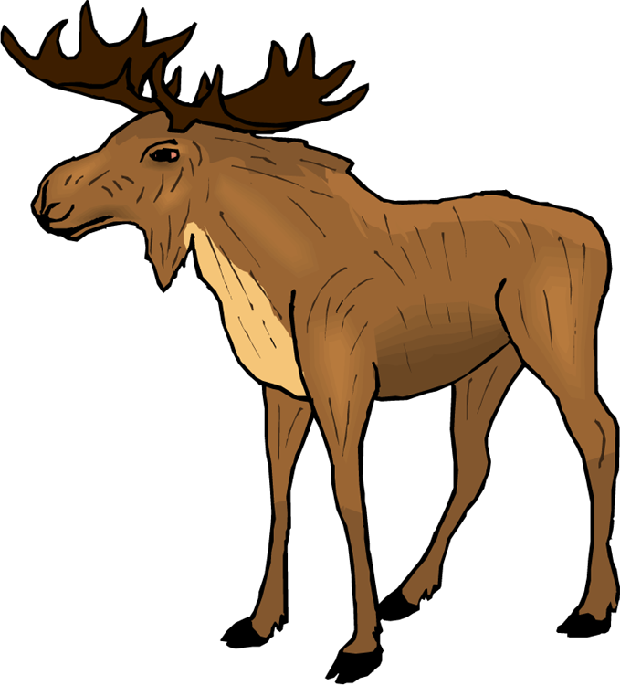 Illustrated brown moose with large antlers standing in profile against black background.