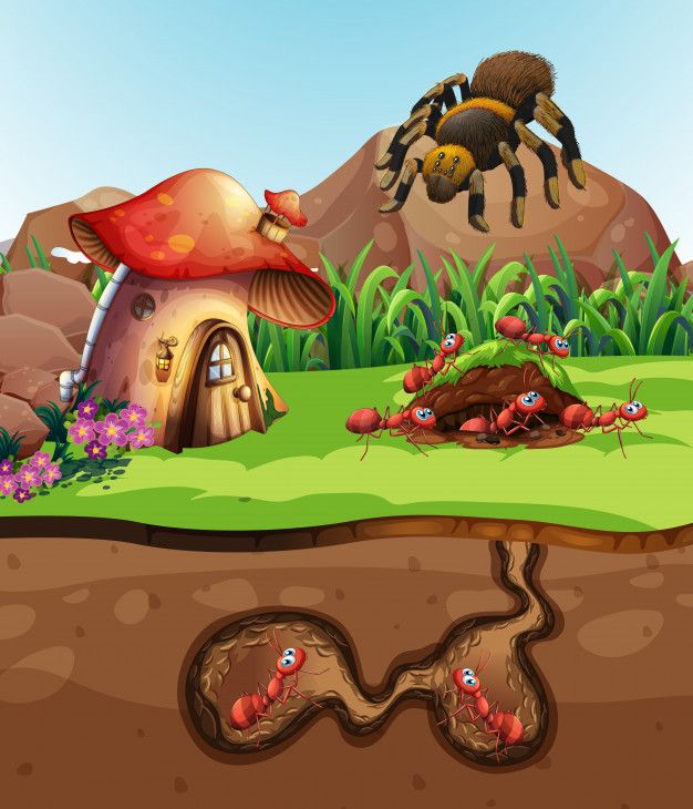 A whimsical cartoon scene with a mushroom house, red ants near their nest, and a large spider on a rock above grassy terrain.