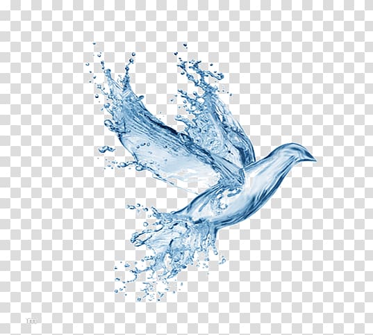 A dove formed from splashing blue water, symbolizing peace and purity against a transparent background.
