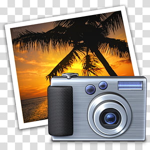 Silver digital camera with textured grip beside a tropical sunset photo print featuring palm silhouettes.