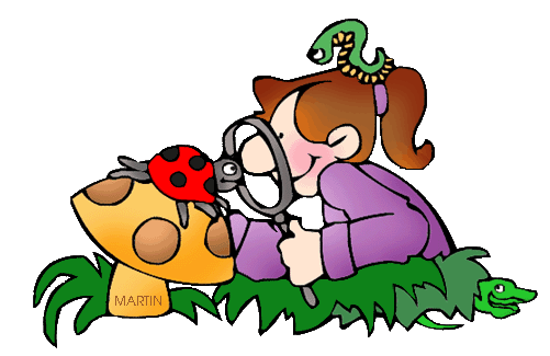 A cartoon girl with a magnifying glass examines a red ladybug on a yellow mushroom labeled "MARTIN", with green grass and a small lizard nearby.