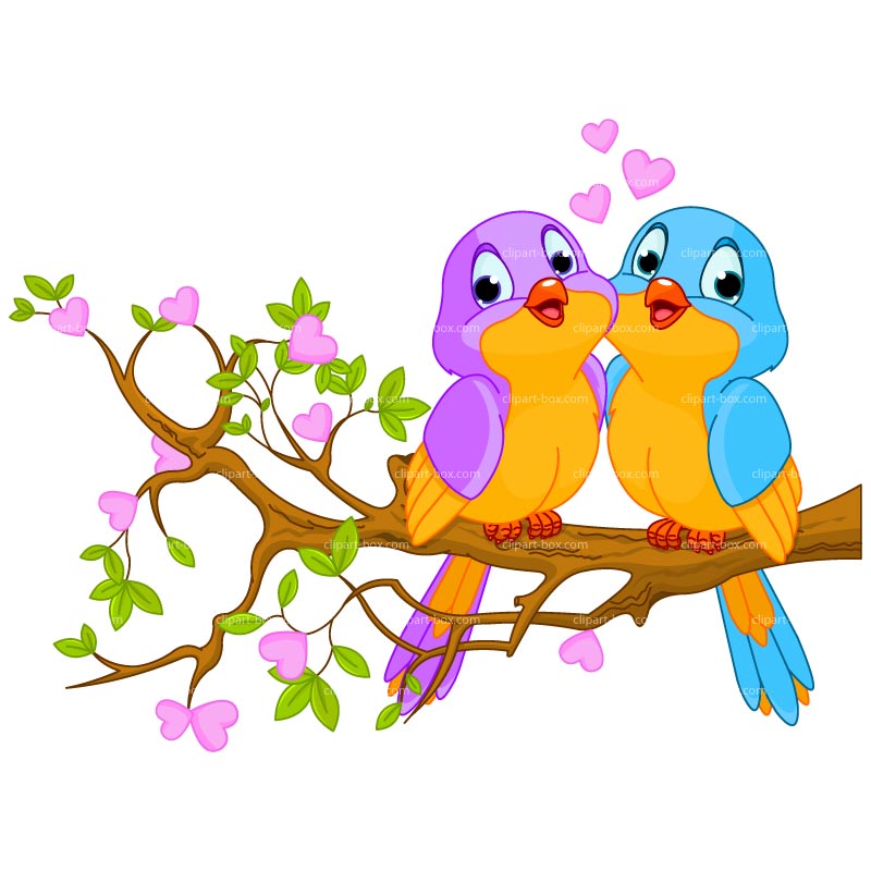 Two colorful cartoon lovebirds perched on a blossoming branch with pink hearts floating above.