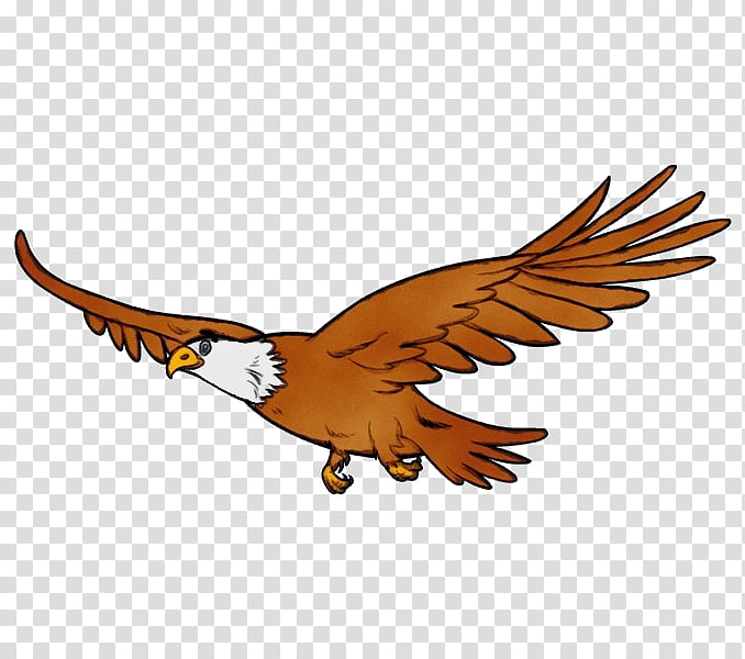 Cartoon bald eagle in flight with outstretched wings, brown body, white head, and yellow beak and talons.