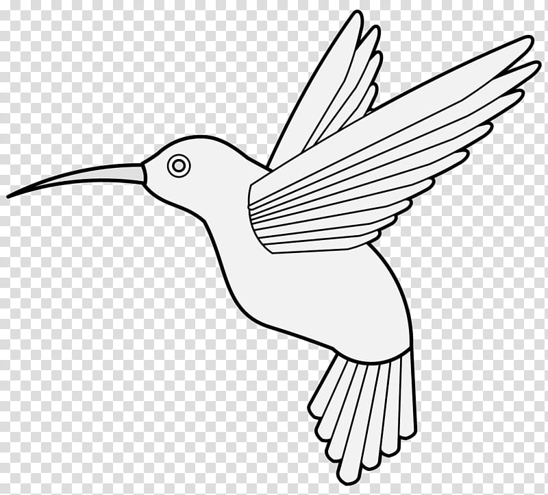 birds lines - Clip Art Library