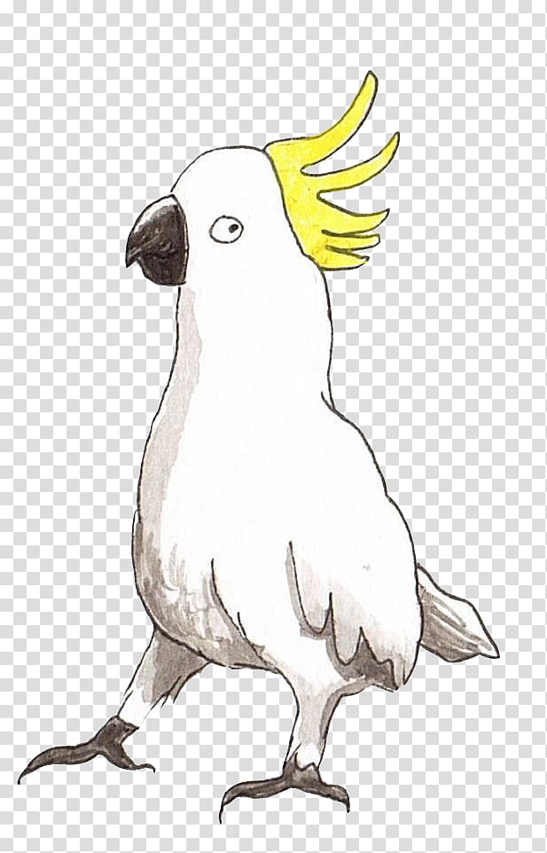 Hand-drawn white cockatoo with bright yellow crest, black beak and feet, standing alert on transparent background.