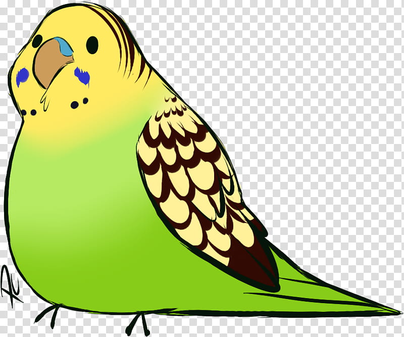 Illustrated green and yellow budgerigar with blue cheek patches and patterned wings on transparent background.