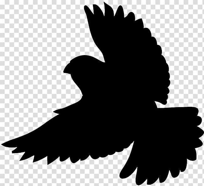 bird outline transparent background - Clip Art Library - Clip Art Library