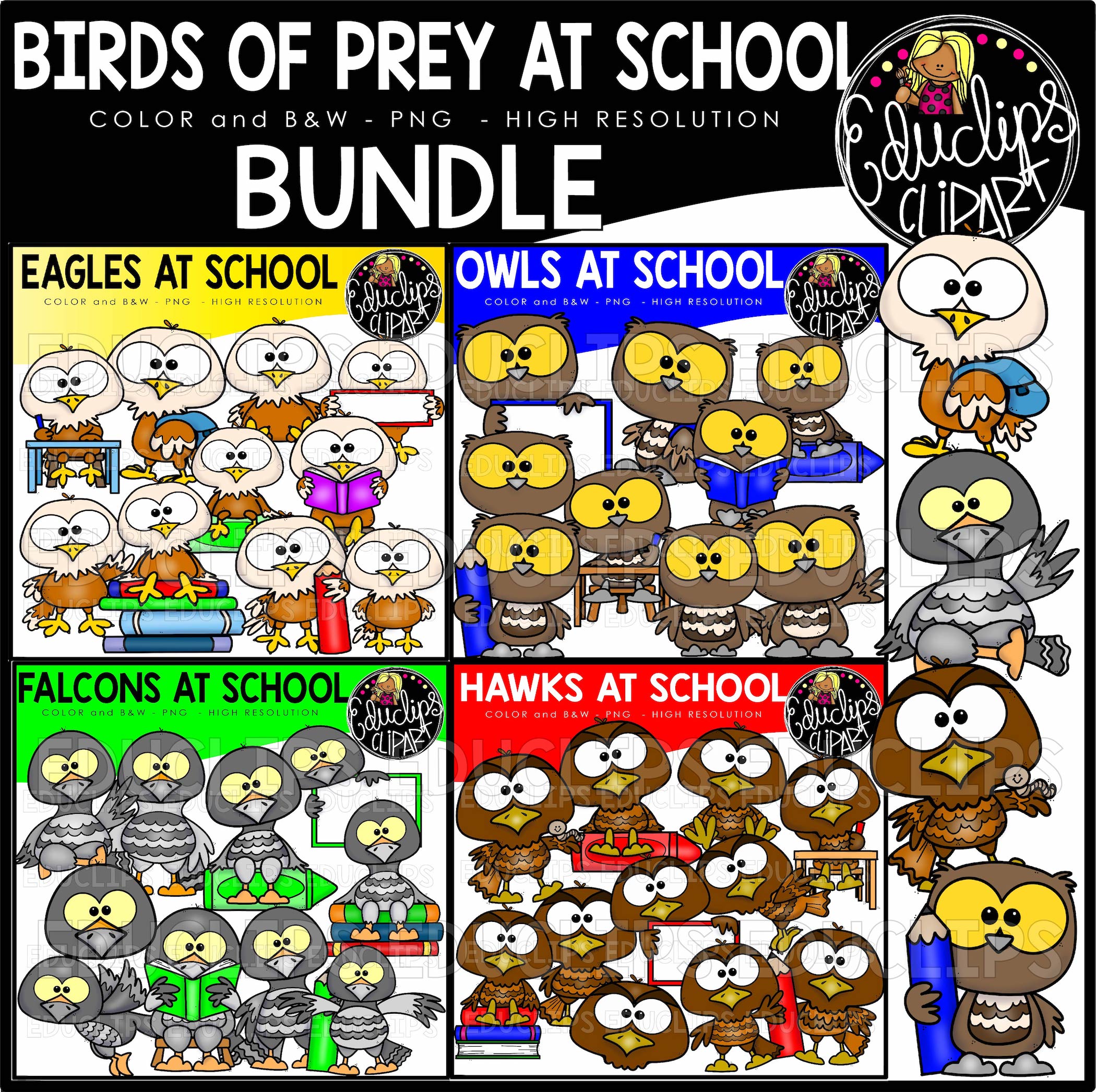 Bundle of high-resolution PNG clipart featuring eagles, owls, falcons, and hawks in school-themed poses-reading, writing, and learning.