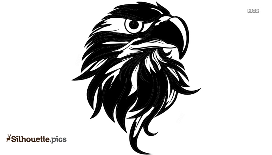 Eagle Head Vector Illustration - Bold Graphic Art for Logos & Tattoos