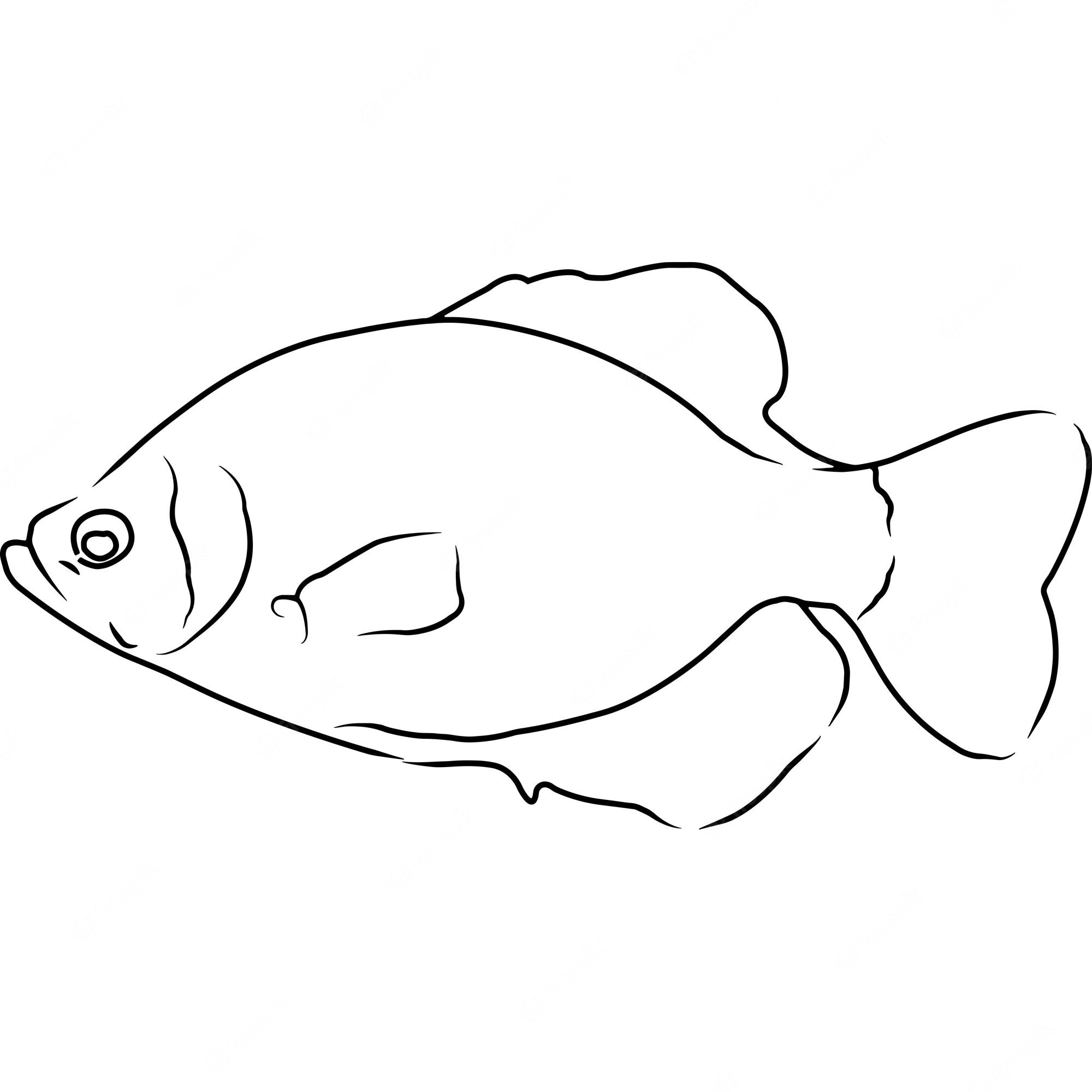Simple black-and-white line drawing of a fish with prominent eye, dorsal fin, tail, and pectoral fins.