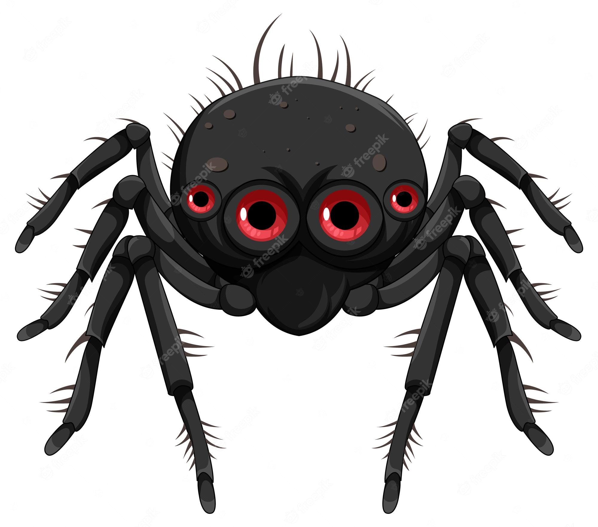 Scary Halloween Spider Clip Art