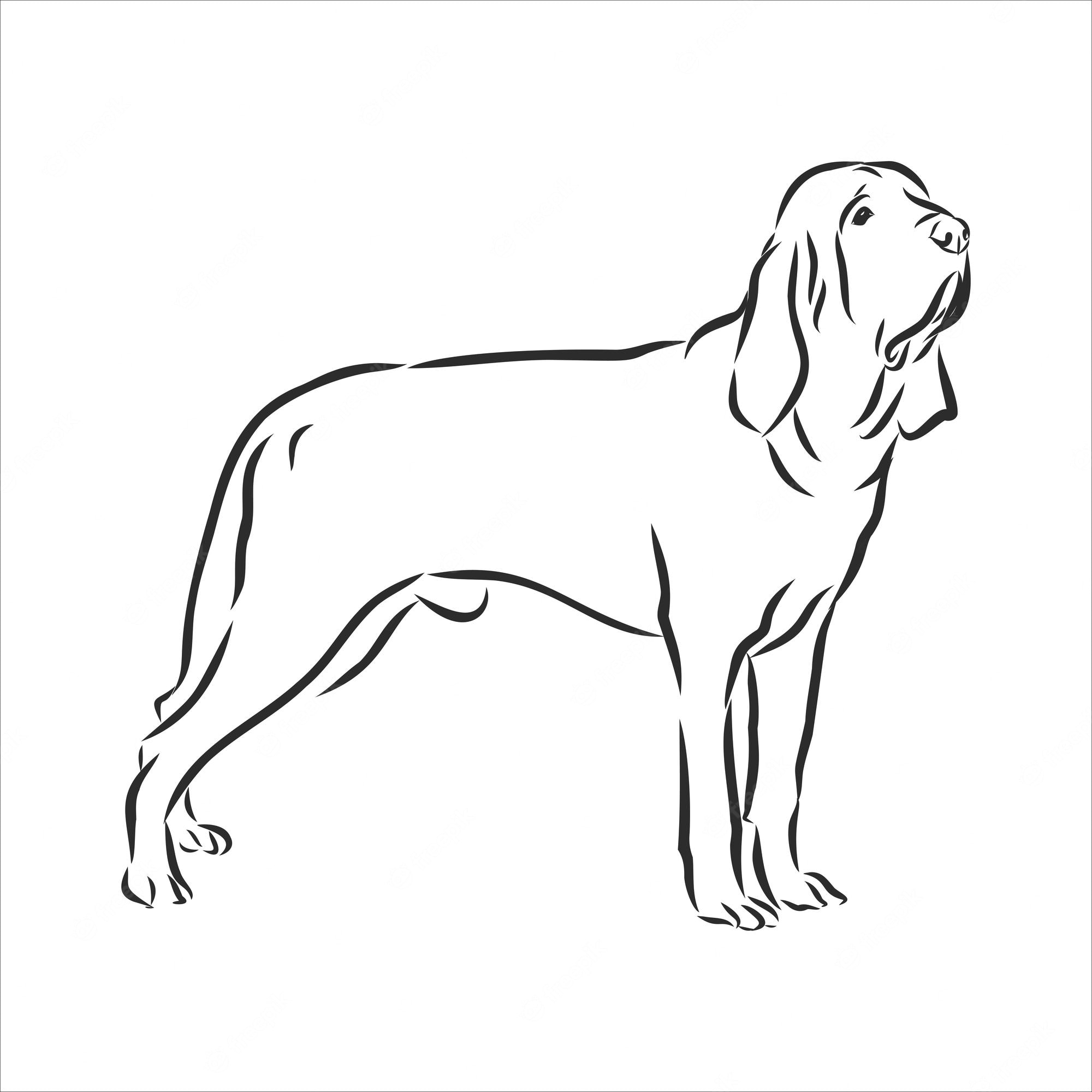 Bloodhound Dog Breed Illustration - Clean Line Art for Pet Enthusiasts
